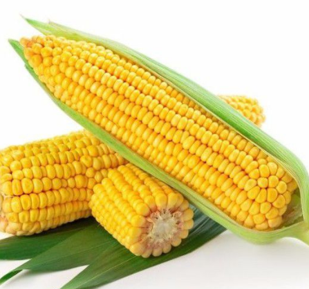 玉米振動篩如何選擇？